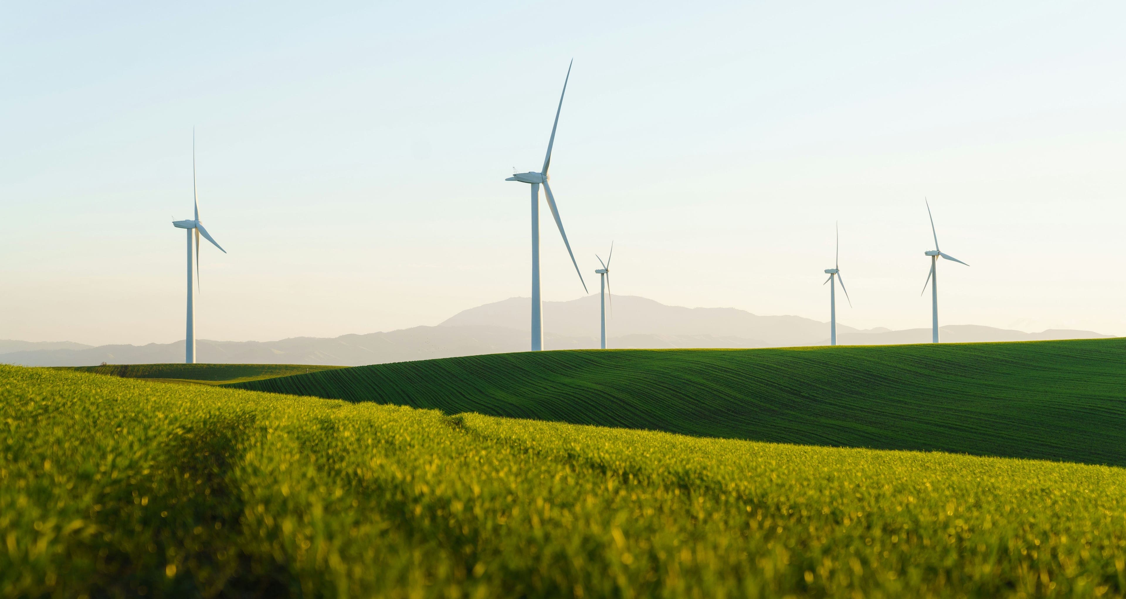 portfolio-teaser-1